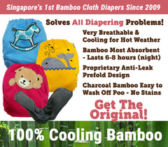 12pc Value Pack Raf Raf Bamboo Cloth Diaper + FREE GIFT!